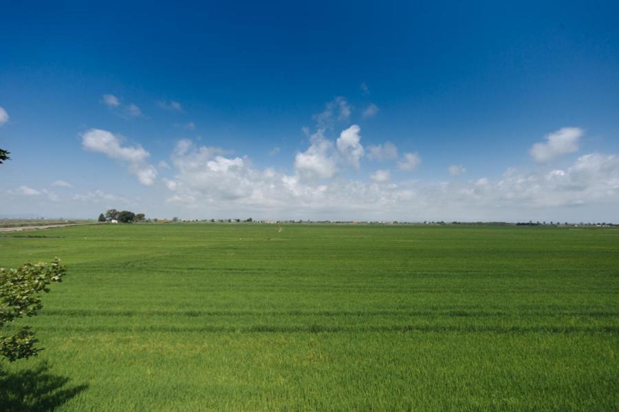 Salicornia Apartament L'Eucaliptus Luaran gambar